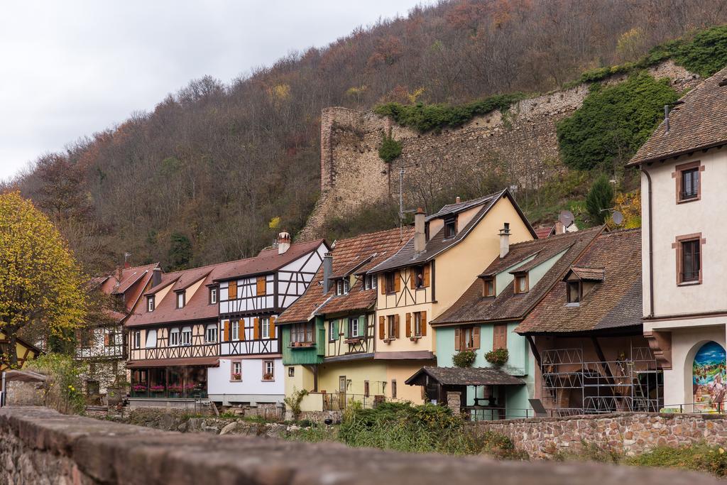 Chez Daniel Apartment Kaysersberg-Vignoble Bilik gambar
